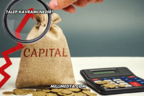 Talep Kavramı Nedir?