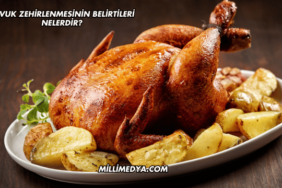 Tavuk Zehirlenmesinin Belirtileri Nelerdir?