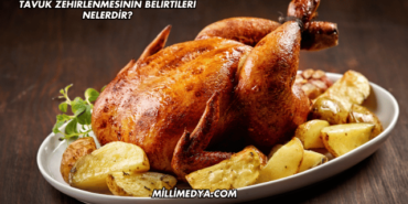 Tavuk Zehirlenmesinin Belirtileri Nelerdir?