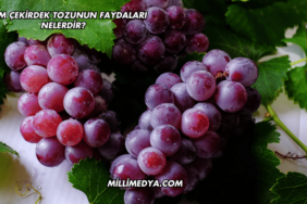 Üzüm Çekirdek Tozunun Faydaları Nelerdir?