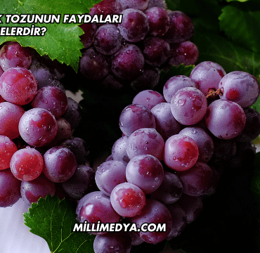Üzüm Çekirdek Tozunun Faydaları Nelerdir?