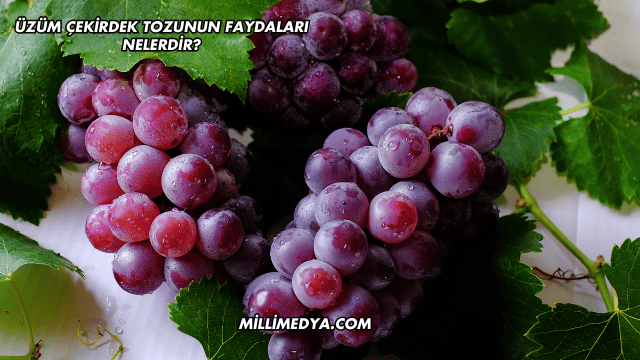 Üzüm Çekirdek Tozunun Faydaları Nelerdir?