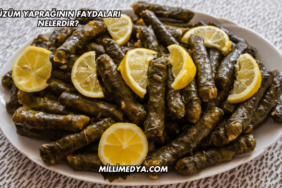 Üzüm Yaprağının Faydaları Nelerdir?