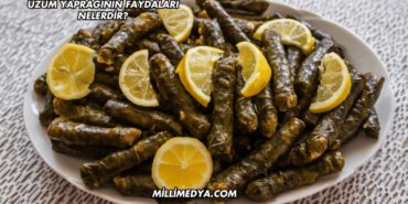 Üzüm Yaprağının Faydaları Nelerdir?