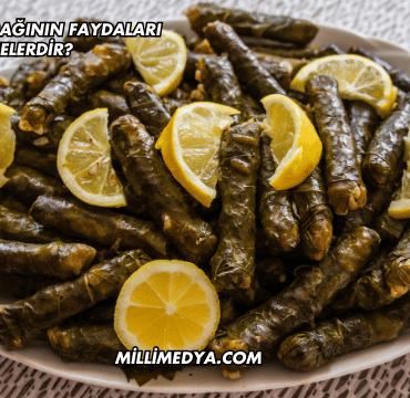 Üzüm Yaprağının Faydaları Nelerdir?