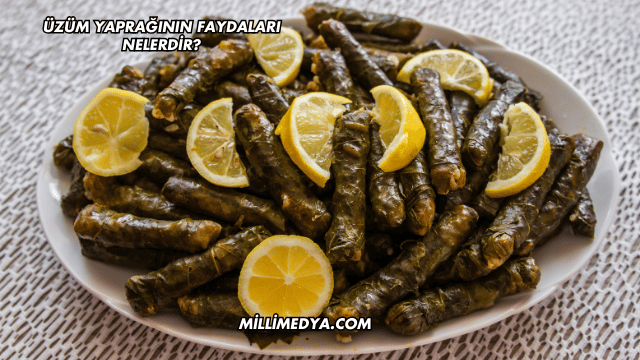 Üzüm Yaprağının Faydaları Nelerdir?