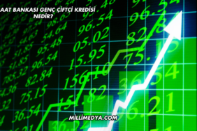 Ziraat Bankası Genç Çiftçi Kredisi Nedir?