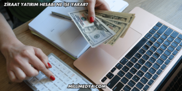 Ziraat Yatırım Hesabı Ne İşe Yarar?