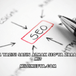 Tanıtım Yazısı Satın Almak SEO'ya Zarar Verir mi?